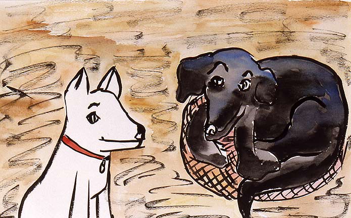 Genevieve in Scottie's Bed