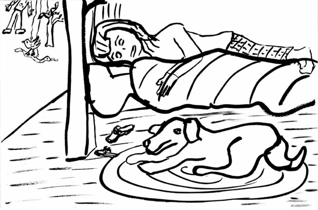 Genevieve Sleeps Under Our Bed